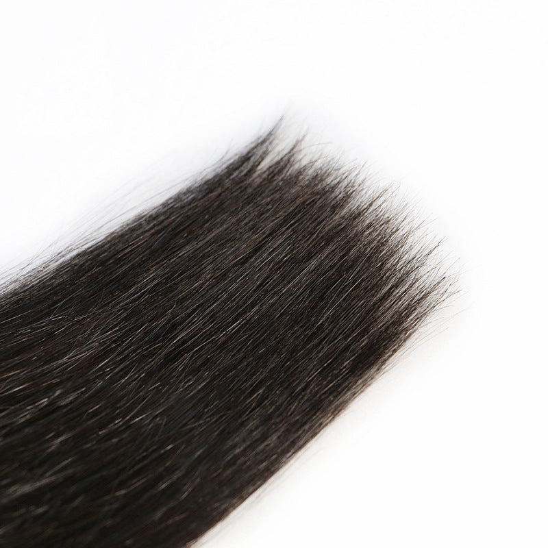 Brazilian Human Hair Wig - Premium Quality Natural Hair