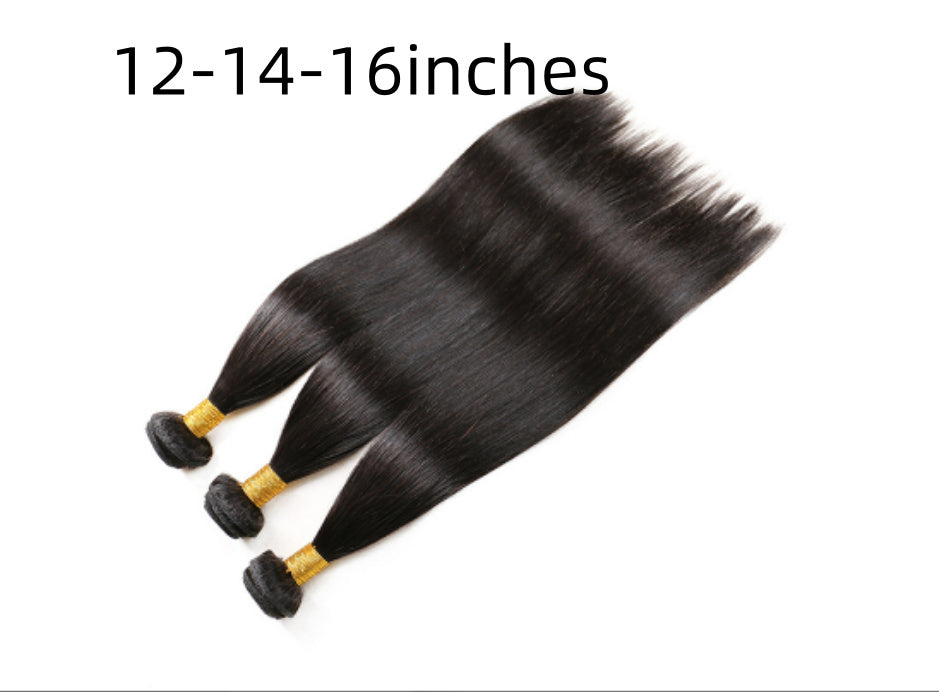 Brazilian Human Hair Wig - Premium Quality Natural Hair